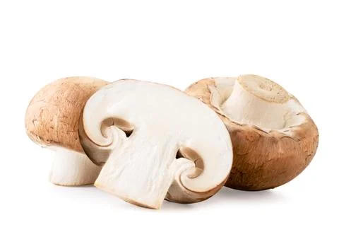 Two champignons and a cut half on a white background. Stock Photos