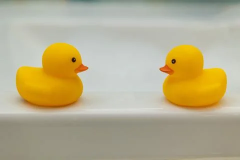 Two Charming Rubber Ducks Perched on the Edge of a Colorful Bathtub for Stock Photos