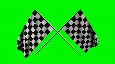 Two checkered flags Stock Footage 302263
