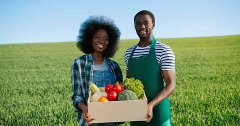 Two cheerful workers in the field communicating and laughing together while Stock Photos