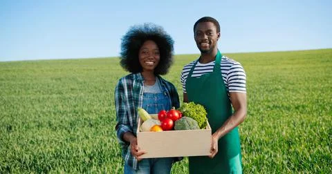 Two cheerful workers in the field communicating and laughing together while Stock Photos