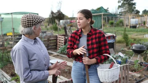 Two cheerful young and old female neighbors standing with busket and talking Stock Footage 231091762