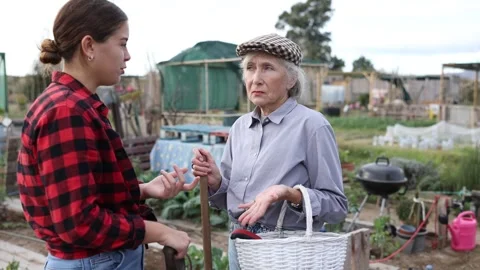 Two cheerful young and old female neighbors standing with busket and talking Stock Footage 240623634