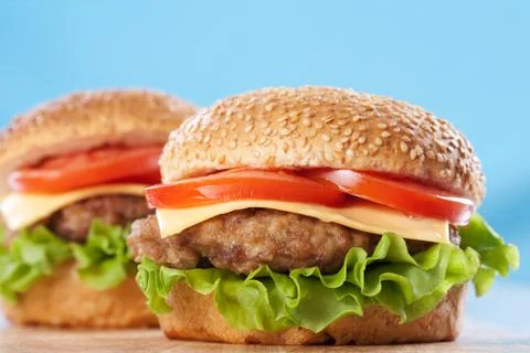 Two cheeseburgers Stock Photos
