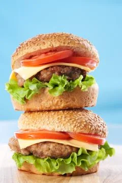 Two cheeseburgers Stock Photos