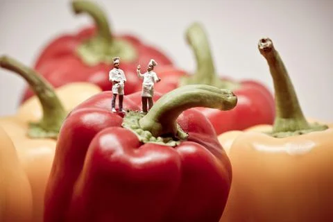 Two chefs debating over bell peppers. Macro photo Stock Photos