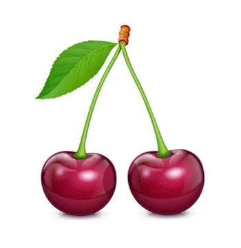Two Cherries with green leaf. Fresh, juicy, ripe fruit. Stock Illustration