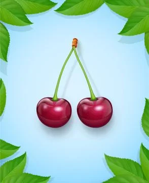 Two Cherries with green leaf. Fresh, juicy, ripe fruit. Stock-Illustration