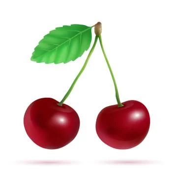 Two cherries Stock Illustration
