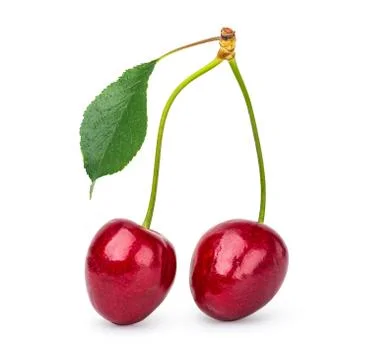 Two cherries isolated Stock Photos