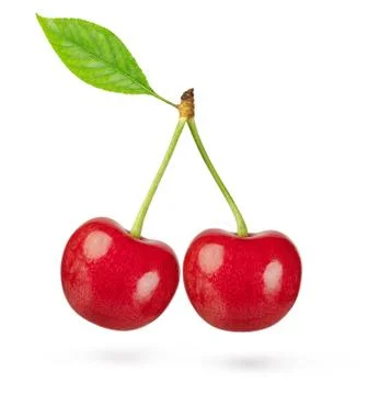 Two cherries with leaf isolated on white background. Clipping path Stock Photos