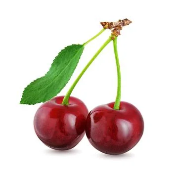 Two cherries with leaf isolated on white background. Stock Photos
