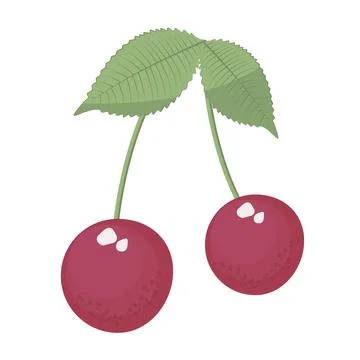 Two cherries with leaves Stock Illustration