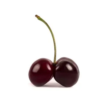 Two cherries on one branch Stock Photos