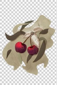 Two cherries with patterns, fastened with a lace element and a button on craf Stock Illustration