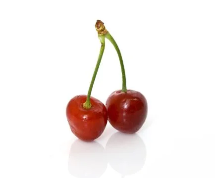 Two cherries Stock-Fotos