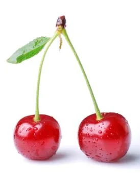 Two cherries Stock Photos