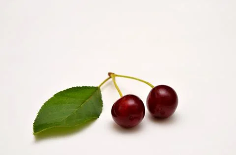 Two cherries on a twig with a leaf on a white background Stock Photos
