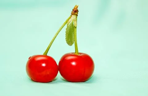 Two cherry berries on a blue background close-up. Stock Photos