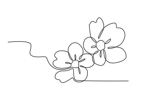 Two cherry blossoms Stock Illustration