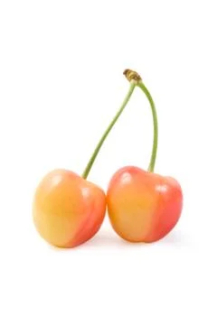 Two cherry fruit Stock Photos