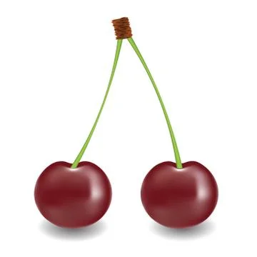 Two cherry Illustrazione stock