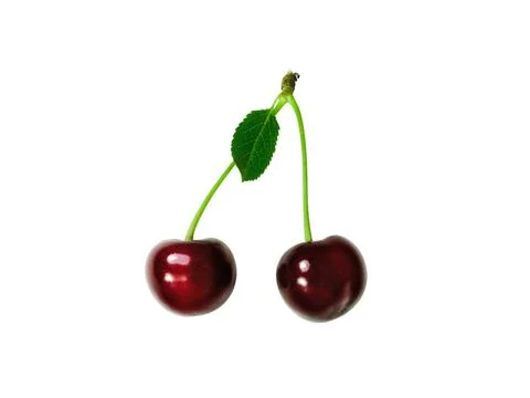 Two cherry isolated on white background Stock Photos