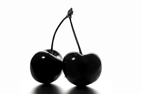 Two Cherry silhouette on a white background Stock Illustration