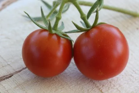 Two cherry tomatoes on wood Stock Photos