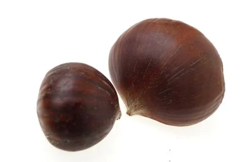 Two chesnuts Stock-Fotos