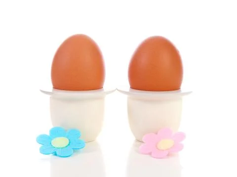 Two chicken eggs in holder Stock Photos