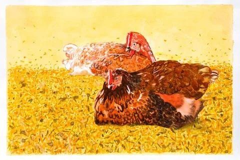 Two chickens lying in the straw and hatching eggs. Real watercolor on waterco Stock Illustration