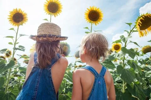 Two children are exploring flower sunflower outdoors Stock Photos
