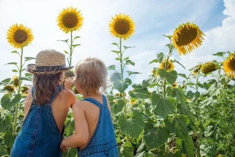 Two children are exploring flower sunflower outdoors Stock Photos