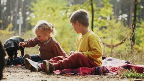 Two children are playing with a small black dog in an autumn forest, sitting on Stock Footage 289632739