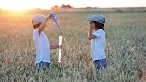 Two children, boys, chasing soap bubbles in a wheat field on sunset Stock Footage