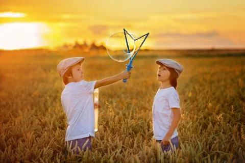 Two children, boys, chasing soap bubbles in a wheat field on sunset Stock Photos