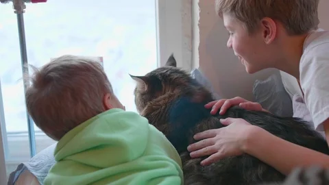 Two children with a cat lie on the floor and look out the window. The friendship 動画素材 85568539