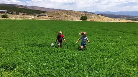 Two children chase butterflies through green field HD Stock-Footage 80235751