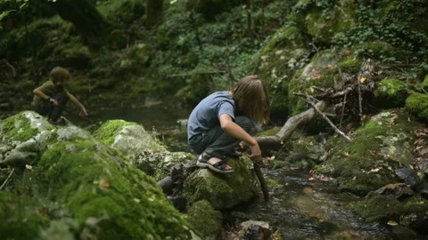 Two children explore a moss-covered forest stream, surrounded by lush greenery Stock Footage 302366481