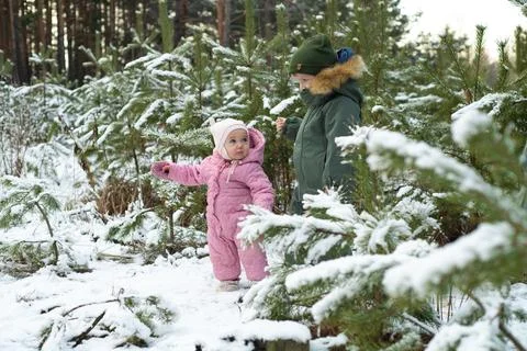 Two children explore a snowy forest, surrounded by frosted evergreen trees Stock Photos