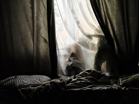 Two Children Looking Out the Window Behind Curtains, Silhouette at Home Stock Photos