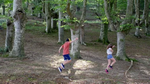 Two children playing in the forest Stock Footage 250083411