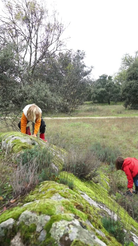 Two children playing in nature on some large rocks Stock Footage 255017725