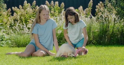 Two children playing with a puppy in the backyard of the house Stock Footage 249527198