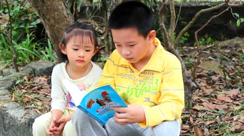 Two children reading book under the tree Video stock 32502385