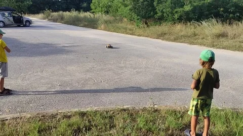 Two children with remote controllers operating RC cars in an open parking area Stock Footage 298002036