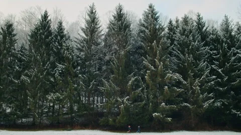 Two children running in a snowy winter forest landscape Vídeo Stock 334102728