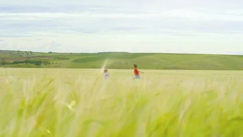 Two Children Running Through Wheat Field. Stock Footage 283448644