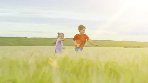 Two Children Running Through a Wheat Field. Young Siblings, Boy and Girl run Stock Footage 314703038